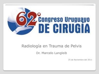Radiología en Trauma de Pelvis
       Dr. Marcelo Langleib

                              25 de Noviembre del 2011
 