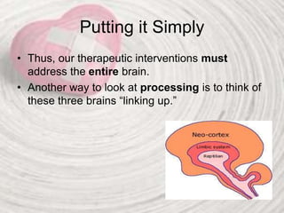 Putting it Simply
• Thus, our therapeutic interventions must
address the entire brain.
• Another way to look at processing is to think of
these three brains “linking up.”
 