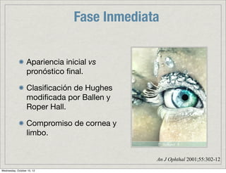 Trauma Químico en Oftalmología | PDF