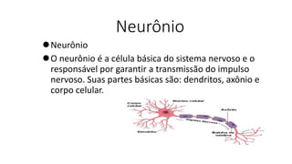 Neurônio
Neurônio
O neurônio é a célula básica do sistema nervoso e o
responsável por garantir a transmissão do impulso
nervoso. Suas partes básicas são: dendritos, axônio e
corpo celular.
 