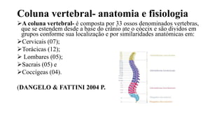 Coluna vertebral- anatomia e fisiologia
A coluna vertebral- é composta por 33 ossos denominados vertebras,
que se estendem desde a base do crânio ate o cóccix e são dividos em
grupos conforme sua localização e por similaridades anatómicas em:
Cervicais (07);
Torácicas (12);
 Lombares (05);
Sacrais (05) e
Coccígeas (04).
(DANGELO & FATTINI 2004 P.375).
 