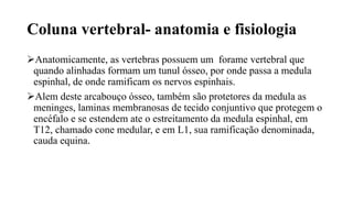 Coluna vertebral- anatomia e fisiologia
Anatomicamente, as vertebras possuem um forame vertebral que
quando alinhadas formam um tunul ósseo, por onde passa a medula
espinhal, de onde ramificam os nervos espinhais.
Alem deste arcabouço ósseo, também são protetores da medula as
meninges, laminas membranosas de tecido conjuntivo que protegem o
encéfalo e se estendem ate o estreitamento da medula espinhal, em
T12, chamado cone medular, e em L1, sua ramificação denominada,
cauda equina.
 