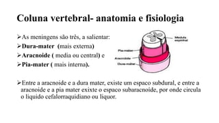 Coluna vertebral- anatomia e fisiologia
As meningens são três, a salientar:
Dura-mater (mais externa)
Aracnoide ( media ou central) e
Pia-mater ( mais interna).
Entre a aracnoide e a dura mater, existe um espaco subdural, e entre a
aracnoide e a pia mater exixte o espaco subaracnoíde, por onde circula
o liquido cefalorraquidiano ou liquor.
 