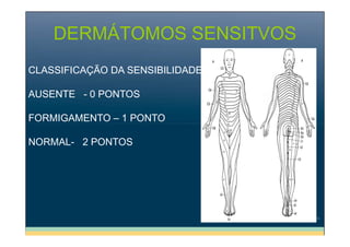 DERMÁTOMOS SENSITVOS
CLASSIFICAÇÃO DA SENSIBILIDADE
AUSENTE - 0 PONTOS
FORMIGAMENTO – 1 PONTO
NORMAL- 2 PONTOS

 