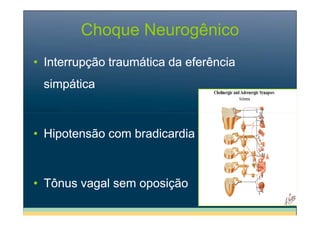 Choque Neurogênico
• Interrupção traumática da eferência
simpática

• Hipotensão com bradicardia

• Tônus vagal sem oposição

 