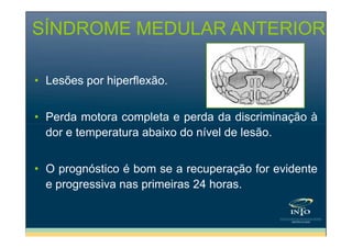 SÍNDROME MEDULAR ANTERIOR
• Lesões por hiperflexão.
• Perda motora completa e perda da discriminação à
dor e temperatura abaixo do nível de lesão.
• O prognóstico é bom se a recuperação for evidente
e progressiva nas primeiras 24 horas.

 