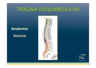 TRAUMA RAQUIMEDULAR

Anatomia
Medular

 