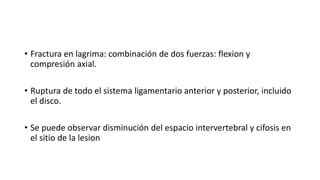 • Fractura en lagrima: combinación de dos fuerzas: flexion y
compresión axial.
• Ruptura de todo el sistema ligamentario anterior y posterior, incluido
el disco.
• Se puede observar disminución del espacio intervertebral y cifosis en
el sitio de la lesion
 