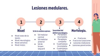 Lesionesmedulares.
Nivel
● Nivel oseo de la
lesión.
● Nivel neurologico
● Nivel sensitivo
● Nivel motor.
Sd de lamedulaespinal.
● Sd medular
central
● Sd medular
anterior
● Sd de
brown
sequard
Severidad del
deficitneurologico.
● Paraplejia
incompleta
● Paraplejia
completa
● Cuadriplejia
incompleta
● Cuadriplejia
completa.
Morfologia.
● Fracturas
● Fracturas-luxaciones
● Lesiones medulares
● Lesiones penetrantes.
1 2 4
3
 