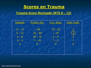 Trauma scores | PDF