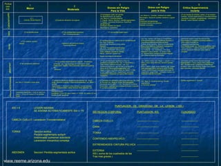 Tibia Cara Interna Trauma scores | PDF