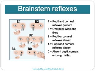 4 = Pupil and corneal
reflexes present
3 = One pupil wide and
fixed
2 = Pupil or corneal
reflexes absent
1 = Pupil and corneal
reflexes absent
0 = Absent pupil, corneal,
or cough reflex
Brainstem reflexes
Krongdai.unh@mahidol.ac.th
 