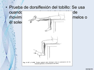 • Prueba de dorsiflexión del tobillo: Se usa
cuando no se sabe si la limitación de
movimiento es causada por los gemelos o
el soleo.
 