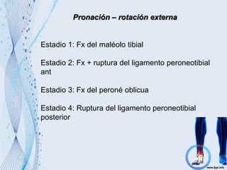 Pronación – rotación externa
Estadio 1: Fx del maléolo tibial
Estadio 2: Fx + ruptura del ligamento peroneotibial
ant
Estadio 3: Fx del peroné oblicua
Estadio 4: Ruptura del ligamento peroneotibial
posterior
 