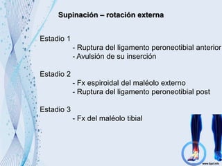 Supinación – rotación externa
Estadio 1
- Ruptura del ligamento peroneotibial anterior
- Avulsión de su inserción
Estadio 2
- Fx espiroidal del maléolo externo
- Ruptura del ligamento peroneotibial post
Estadio 3
- Fx del maléolo tibial
 