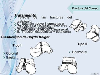 Fractura del Cuerpo
 13-20% de las fracturas del
astrágalo
 Asociadas a fracturas maleolares
 Mecanismo de lesión: Carga axial
Clasificacion de Boydn´Knight
Tipo I
Coronal
Sagital
Tipo II
 Horizontal
Tratamiento
I. Bota sin apoyo 8 semanas o
consolidación radiológica
II. Tracción esquelética + bota corta
 