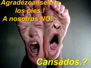 Cansados.?
Agradézcanselo a
los pies.!
A nosotros NO…
 