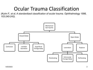 Ocular Trauma Classification
Mechanical
Eye injuries
Closed Globe
Contusion Lamellar
laceration
Superficial
Foreign body
Open Globe
Laceration
Penetrating
Intra ocular
Foreign Body
Perforating
Rupture
4/25/2023
(Kuhn F., et al, A standardized classification of ocular trauma. Ophthalmology 1996,
103:240-243).
2
 
