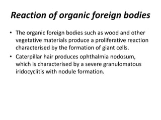 Reaction of organic foreign bodies
• The organic foreign bodies such as wood and other
vegetative materials produce a proliferative reaction
characterised by the formation of giant cells.
• Caterpillar hair produces ophthalmia nodosum,
which is characterised by a severe granulomatous
iridocyclitis with nodule formation.
 