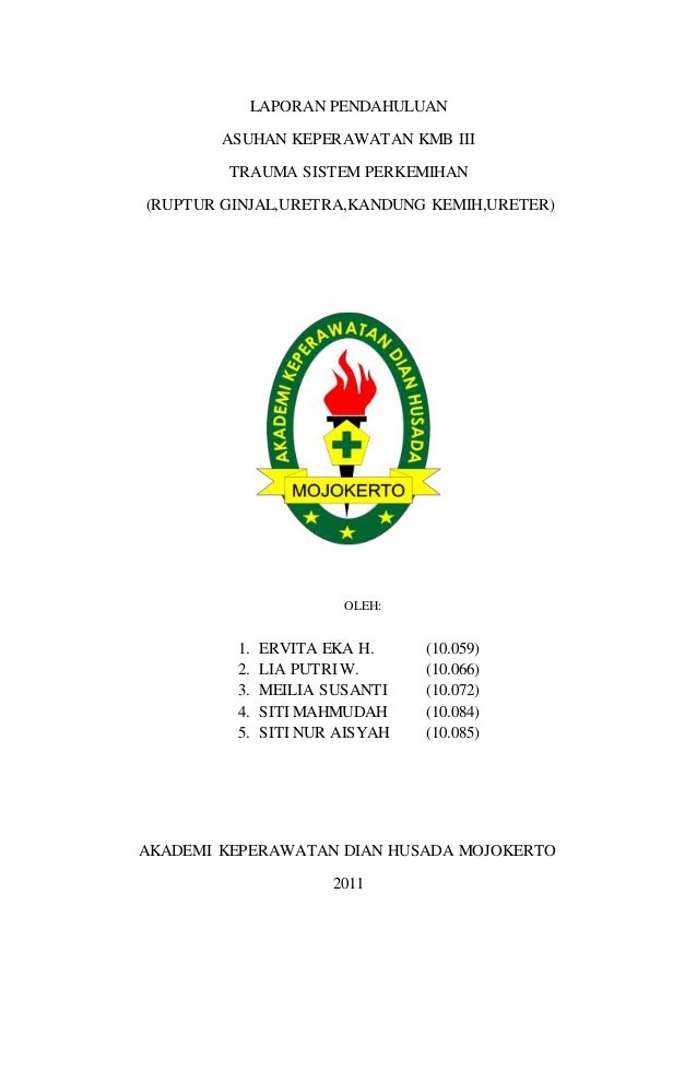 Unduh 80 Koleksi Gambar Ginjal Ureter Dan Uretra Adalah Nomor Paling Bagus Gratis