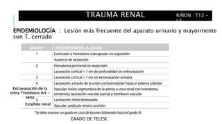 TRAUMA RENAL
EPIDEMIOLOGÍA : Lesión más frecuente del aparato urinario y mayormente
son T. cerrado
RIÑON : T12 –
L3
Estallido renal
Extravasación de la
orina Trombosis Art -
vena
GRADO DE TELESE
 