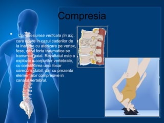 Compresia
• Compresiunea verticala (in ax),
care apare in cazul caderilor de
la inaltime cu aterizare pe vertex,
fese, cand forta traumatica se
transmite axial. Rezultatul este o
explozie a corpurilor vertebrale,
cu constituirea unui focar
oarecum stabil, dar cu prezenta
elementelor compresive in
canalul vertebral.
 