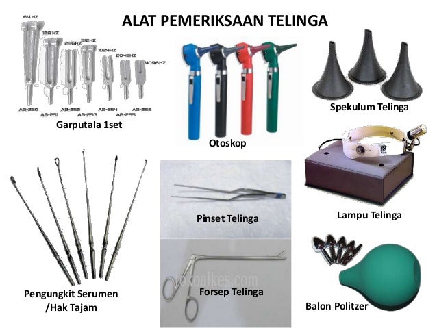 telinga ear telinga ear