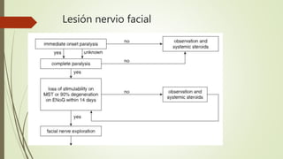 Lesión nervio facial
 