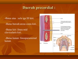 Daerah precordial :
-Batas atas :sela iga III kiri.
-Batas bawah:arcus costa kiri.
-Batas kiri :linea mid
clavicularis kiri.
-Batas kanan :lineaparasternal
kanan.

 