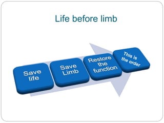 Life before limb
 