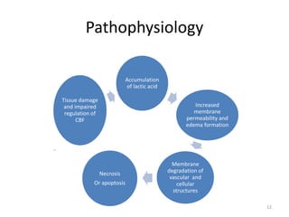 Pathophysiology
Accumulation
of lactic acid
Increased
membrane
permeability and
edema formation
Membrane
degradation of
vascular and
cellular
structures
Necrosis
Or apoptosis
Tissue damage
and impaired
regulation of
CBF
12
 