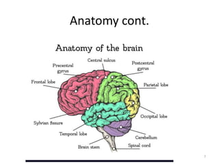 Anatomy cont.
7
 