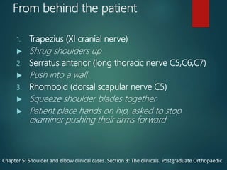 From behind the patient
1. Trapezius (XI cranial nerve)
 Shrug shoulders up
2. Serratus anterior (long thoracic nerve C5,C6,C7)
 Push into a wall
3. Rhomboid (dorsal scapular nerve C5)
 Squeeze shoulder blades together
 Patient place hands on hip, asked to stop
examiner pushing their arms forward
Chapter 5: Shoulder and elbow clinical cases. Section 3: The clinicals. Postgraduate Orthopaedic
 
