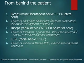 From behind the patient
1. Biceps (musculocutaneus nerve C5 C6 lateral
cord)
 Patient’s shoulder adducted, forearm supinated,
elbow flexed against resistance
2. Triceps (radial nerve C6 C7 C8 posterior cord)
 Patient’s forearm is pronated, shoulder flexed 450
, elbow extended against resistance
3. ECRL (radial nerve C5 C6)
 Patient’s elbow is flexed 900 , extend wrist against
resitance
Chapter 5: Shoulder and elbow clinical cases. Section 3: The clinicals. Postgraduate Orthopaedic
 