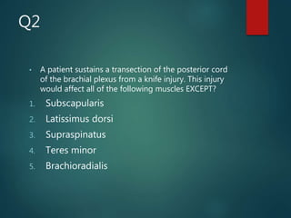 Q2
• A patient sustains a transection of the posterior cord
of the brachial plexus from a knife injury. This injury
would affect all of the following muscles EXCEPT?
1. Subscapularis
2. Latissimus dorsi
3. Supraspinatus
4. Teres minor
5. Brachioradialis
 