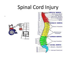 Spinal Cord Injury
.
 