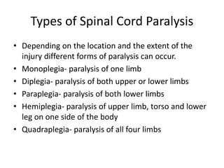 Types of Spinal Cord Paralysis
• Depending on the location and the extent of the
injury different forms of paralysis can occur.
• Monoplegia- paralysis of one limb
• Diplegia- paralysis of both upper or lower limbs
• Paraplegia- paralysis of both lower limbs
• Hemiplegia- paralysis of upper limb, torso and lower
leg on one side of the body
• Quadraplegia- paralysis of all four limbs
 