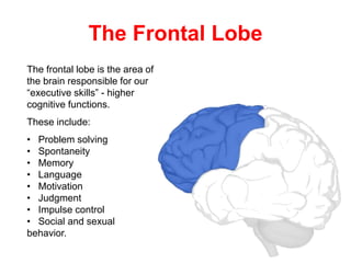 The Frontal Lobe
The frontal lobe is the area of
the brain responsible for our
“executive skills” - higher
cognitive functions.
These include:
• Problem solving
• Spontaneity
• Memory
• Language
• Motivation
• Judgment
• Impulse control
• Social and sexual
behavior.
 