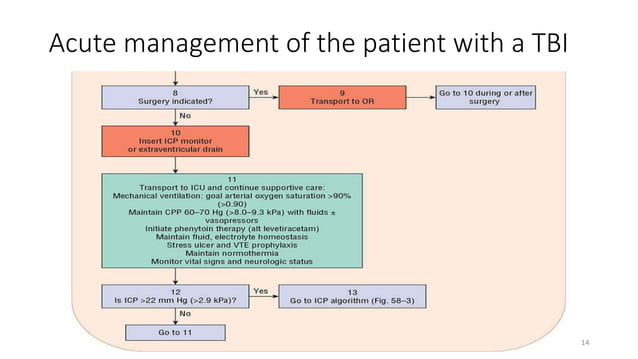 Traumatic Brain Injury.pptx