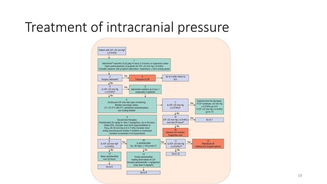 Traumatic Brain Injury.pptx