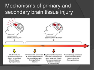 Primary Injury Traumatic Brain Injury.pptx