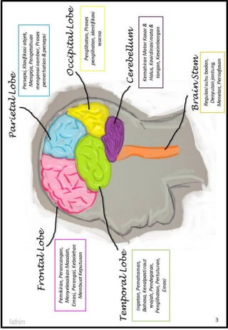 Traumatic Brain Injury Booklet (bm) | PDF