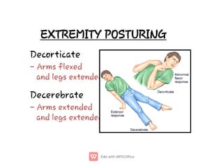 Posturing Types Brain Injury TRAUMATIC BRAIN INJURY ICUpdf.pdf