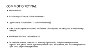COMMOTIO RETINAE
• Berlins edema
• Transient opacification of the deep retina
• Opposite the site of impact (a contrecoup injury)
• If the posterior pole is involved, the fovea is often spared, resulting in a pseudo cherry-
red spot.
• Blood retinal barrier relatively intact
• Extracellular edema, intracellular edema (of glial cells), and photoreceptor outer
segment disruption, retinal pigment epithelial cells, nerve fibers, and the outer plexiform
layer axons of photoreceptor cells
 