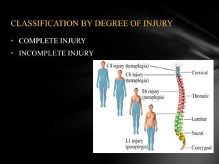 Complete Injury Example Traumatic head and spinal cord injury | PPTX