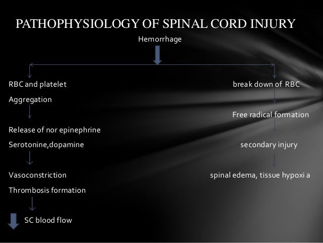 control reflex how gag Traumatic injury head cord spinal and