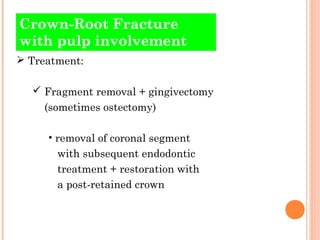 Crown-Root Fracture
with pulp involvement
 Treatment:

   Fragment removal + gingivectomy
    (sometimes ostectomy)

   ...