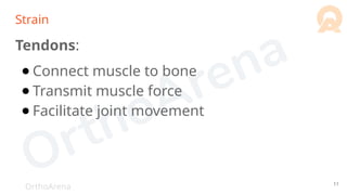 OrthoArena
Strain
Tendons:
● Connect muscle to bone
● Transmit muscle force
● Facilitate joint movement
11
 