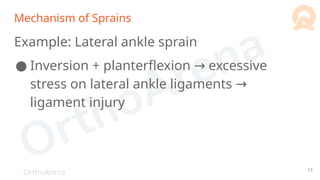 OrthoArena
Mechanism of Sprains
Example: Lateral ankle sprain
● Inversion + planterflexion excessive
→
stress on lateral ankle ligaments →
ligament injury
13
 