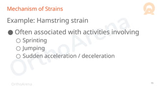 OrthoArena
Mechanism of Strains
Example: Hamstring strain
● Often associated with activities involving
○ Sprinting
○ Jumping
○ Sudden acceleration / deceleration
15
 